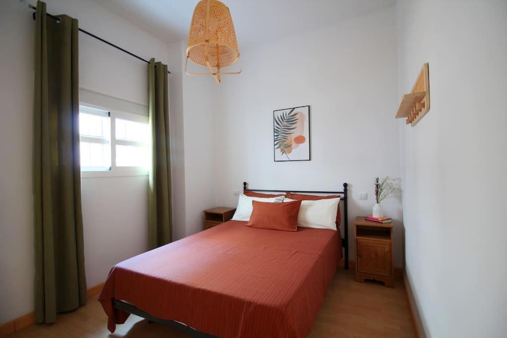 Sevilla Centro- Sol - Mascotas Bienvenidas ภายนอก รูปภาพ